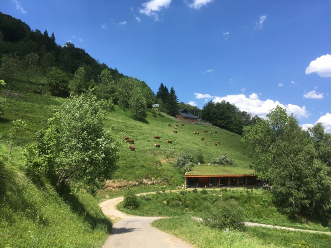 Maison bioclimatique