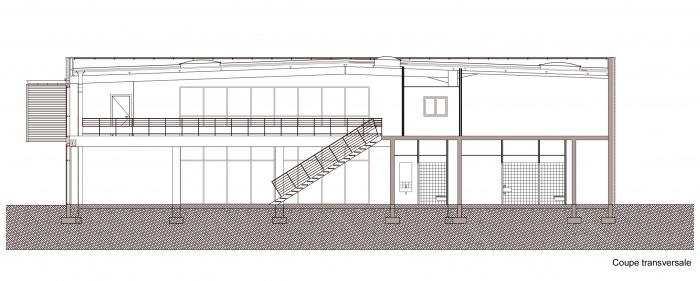 Magasin planete Yam/Maxxess : coupe